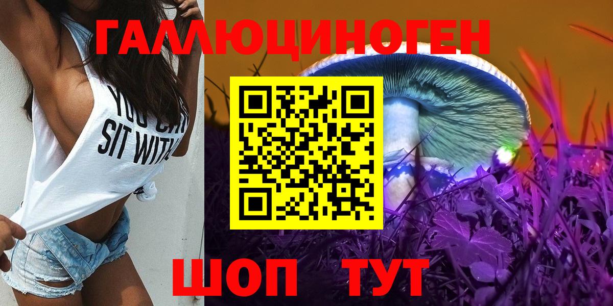 Галлюциногенные грибы Psilocybe Калач-на-Дону