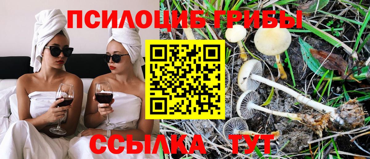 Псилоцибиновые грибы Psilocybe  Вход с VPN  Псилоцибиновые грибы MAGIC MUSHROOMS  Калач-на-Дону 